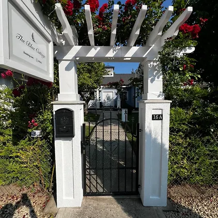 The Blue Akarattya بالاتونكينيشي